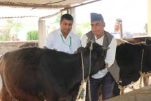 पशु शाखाले विहिवारबाट किसानको घरदैलोमा पुगेर पशुमा लाग्ने खोरेत रोग विरुद्धको खोप दिन सुरु गरेको छ ।